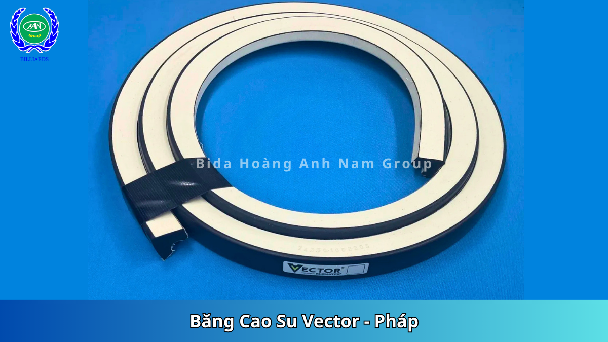 Cao Su Vector Pháp 10 Năm - Bàn Bida 3 Băng Hollywood Proam Alpha | Bida Hoàng Anh Nam Group