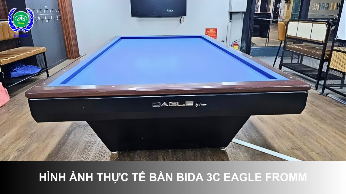 Hình ảnh thực tế của bàn bida 3C Eagle Fromm | Bida Hoàng Anh Nam Group
