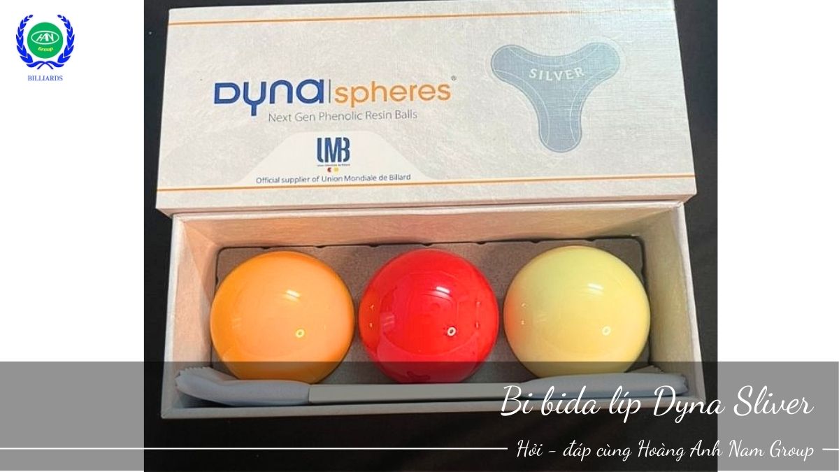 Bi bida líp Dyna Silver | Bida Hoàng Anh Nam Group