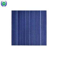 Thảm Sàn Roma 04B