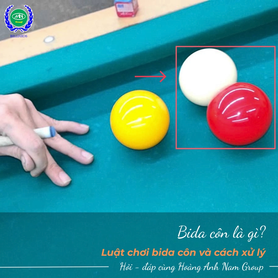 Bida côn là gì?