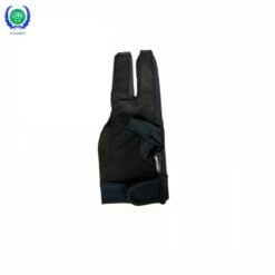 Alternative view of BAO TAY TIGER