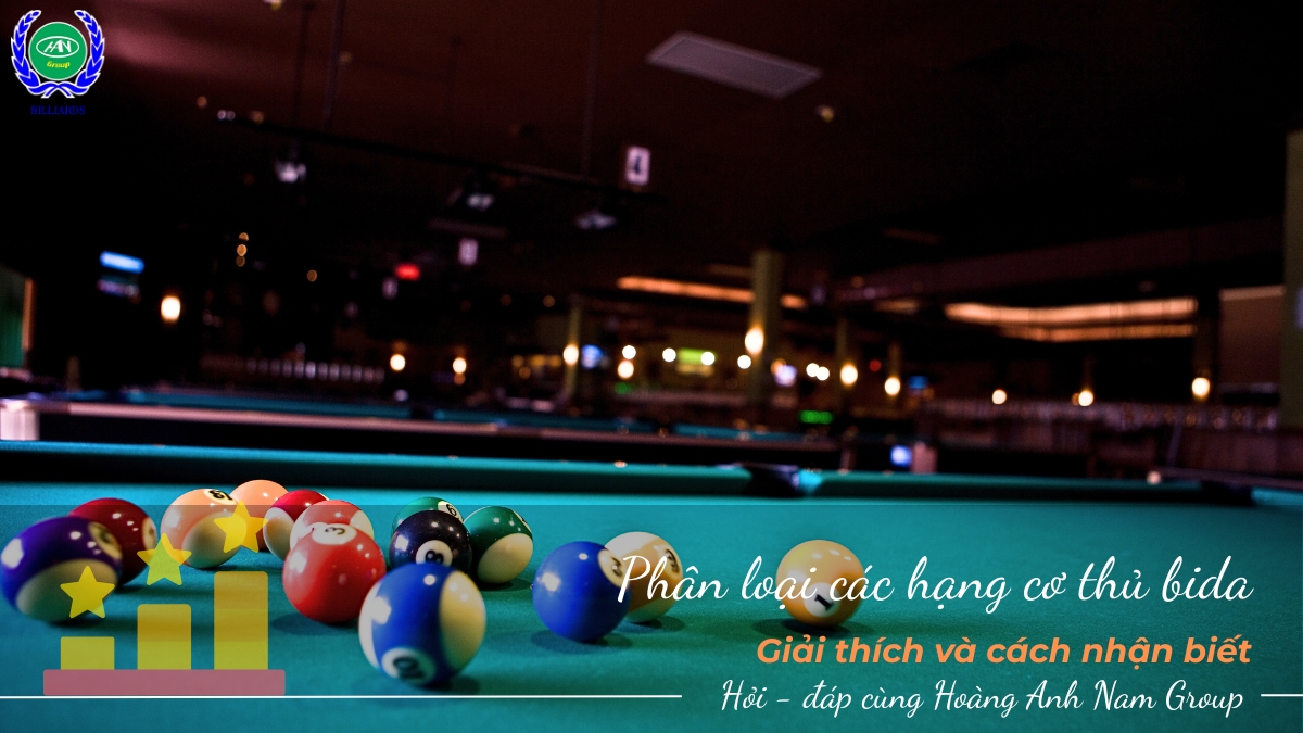 Phân loại các hạng cơ thủ bida: Giải thích và cách nhận biết 