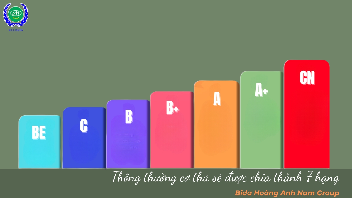 Thông thường cơ thủ sẽ được chia thành 7 hạng 