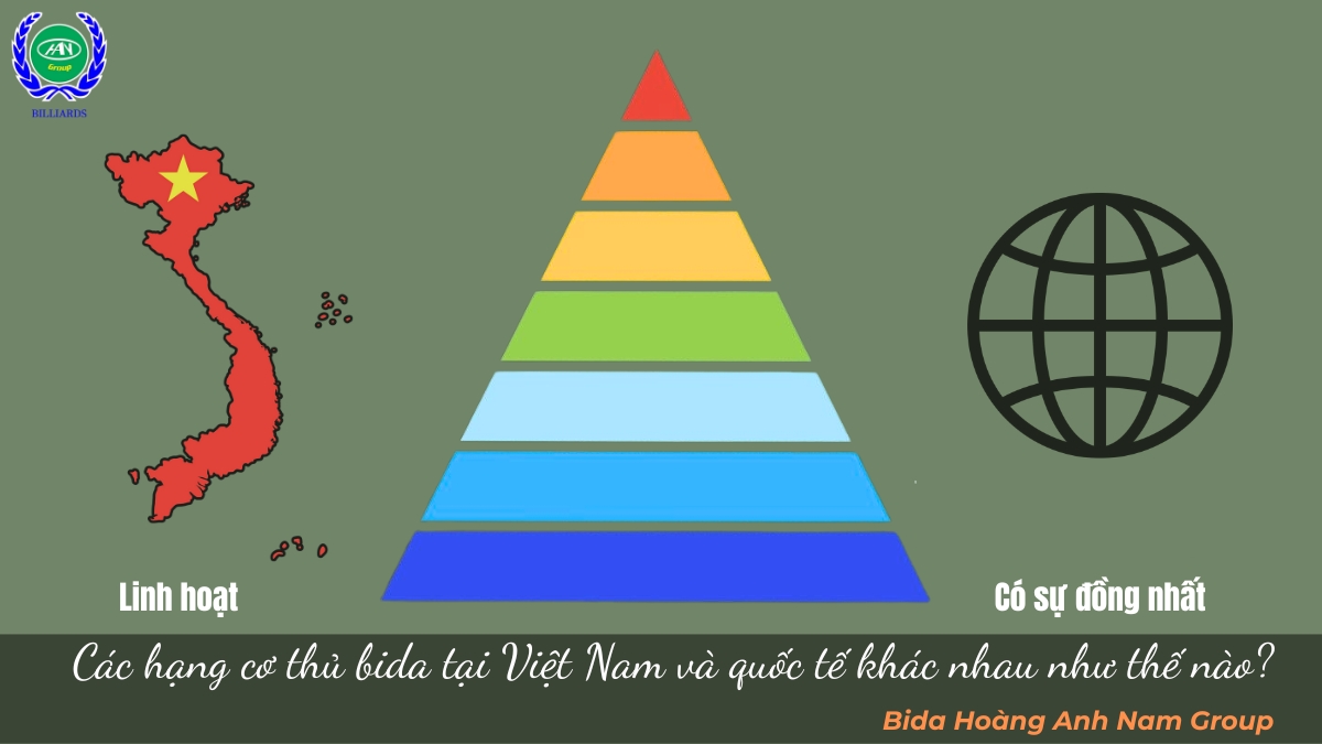 Các hạng cơ thủ bida tại Việt Nam và quốc tế khác nhau như thế nào? 