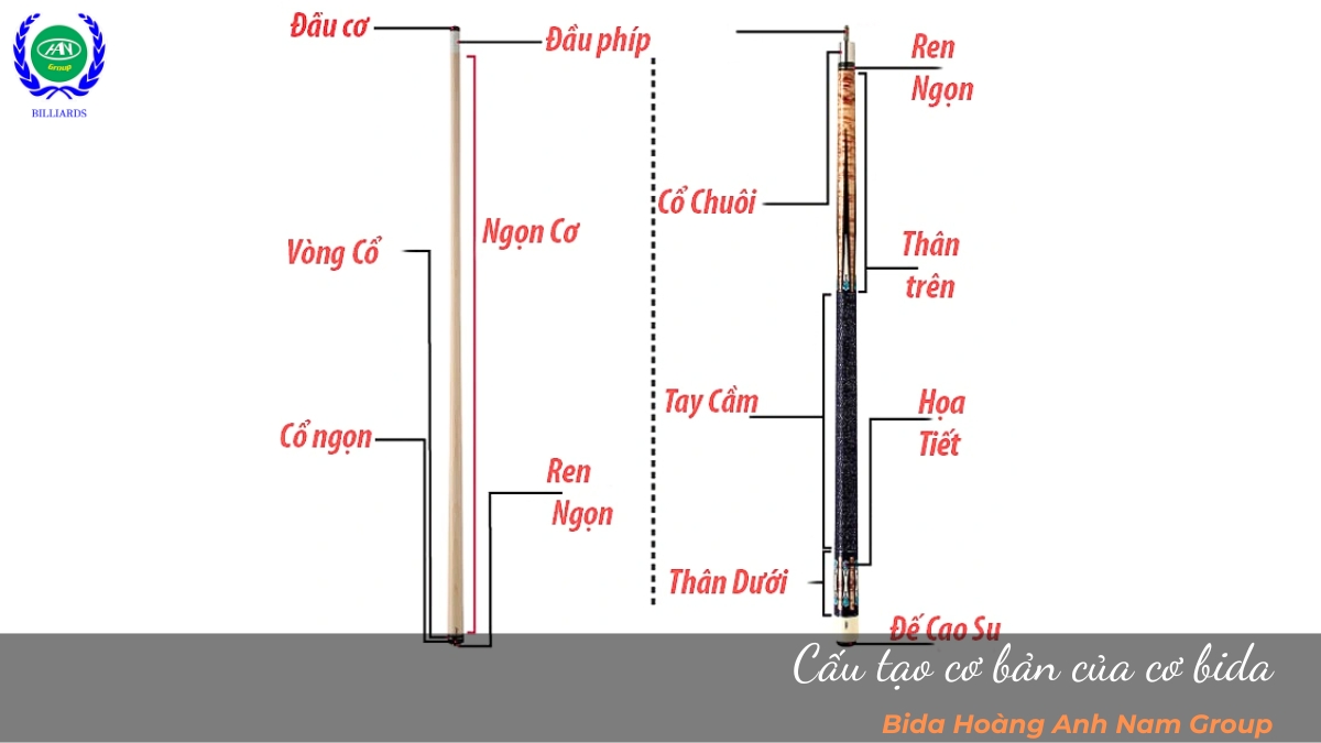 Cấu tạo cơ bản của cơ bida 