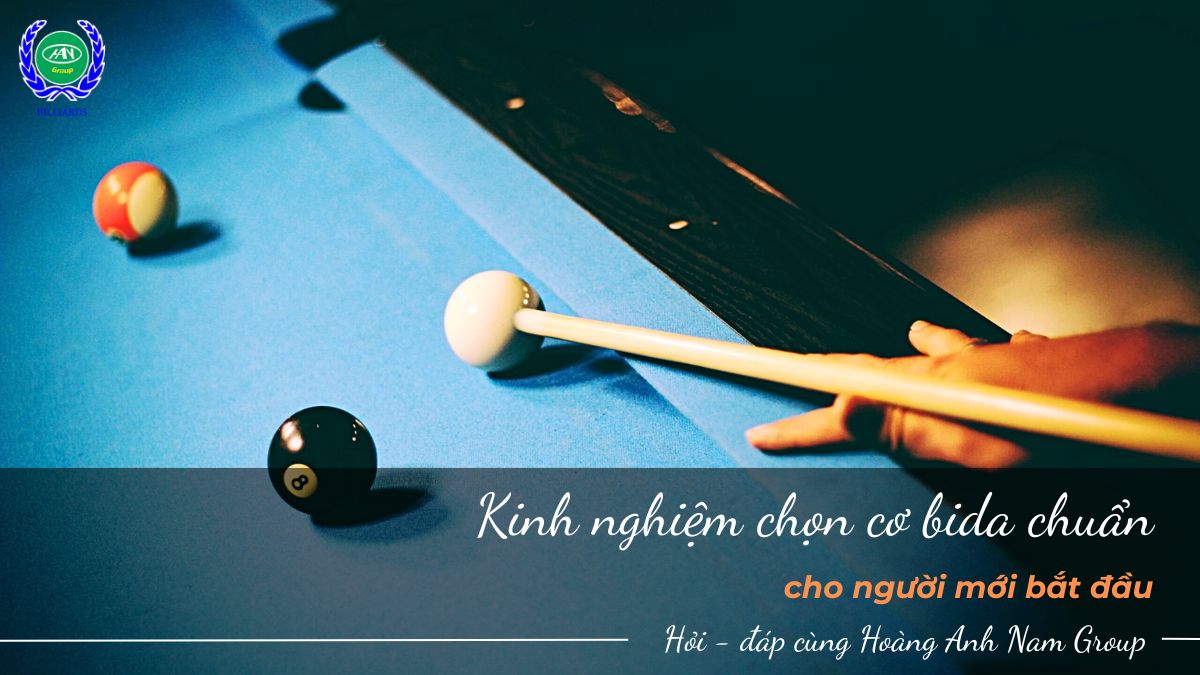 Kinh nghiệm chọn cơ bida chuẩn cho người mới bắt đầu