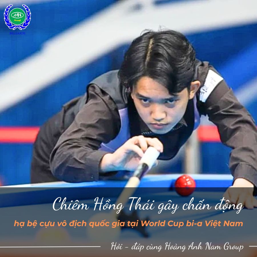World Cup bi-a Việt Nam