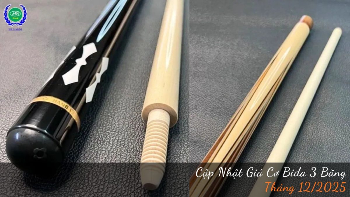 Bảng giá cơ bida 3 băng tháng 12/2025 | Bida Hoàng Anh Nam Group