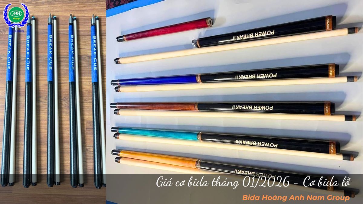 Giá cơ bida tháng 01/2026 - Cơ bida lỗ