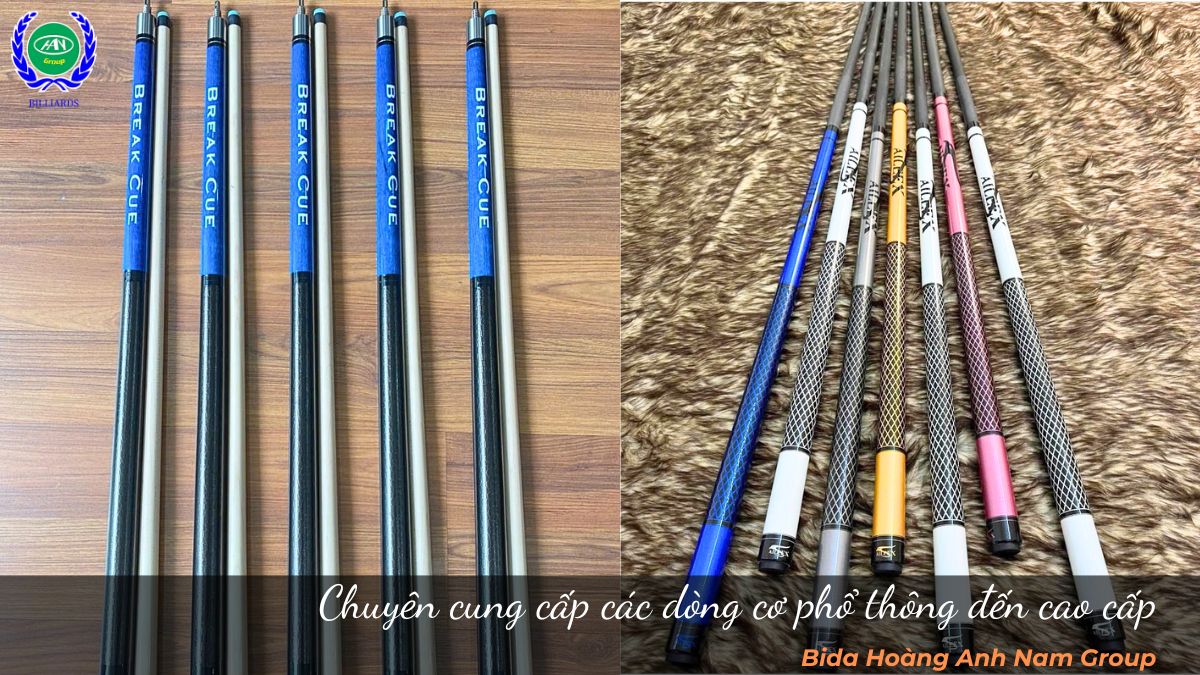 Chuyên cung cấp các dòng cơ phổ thông đến cao cấp