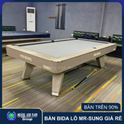 BÀN BIDA LỖ MR-SUNG GIÁ RẺ | NEW 90 - 95%