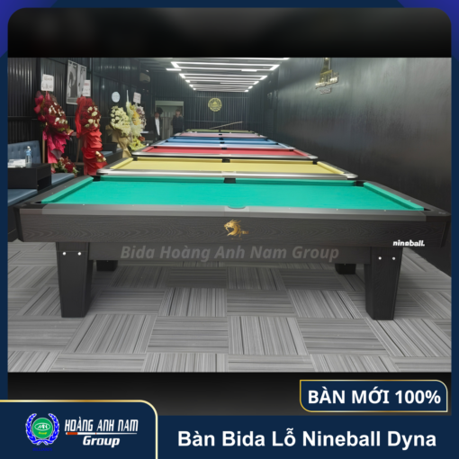 Bàn Bida Lỗ Nineball Dyna Vietnam mới 100% (5)