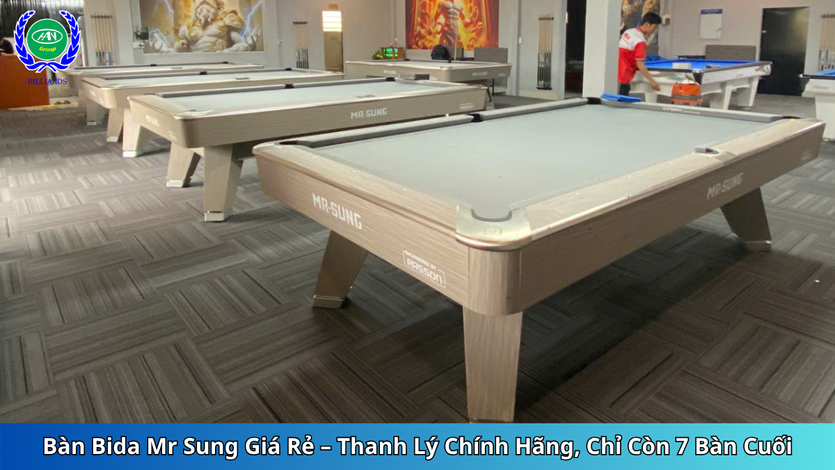 Bàn Bida Mr Sung Giá Rẻ – Thanh Lý Chính Hãng, Sẵn Kho | Bida Hoàng Anh Nam Group