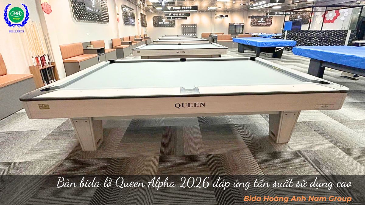 Bàn bida lỗ Queen Alpha 2026 đáp ứng tần suất sử dụng cao