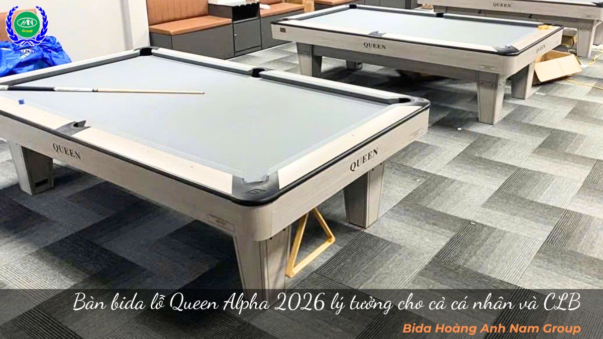 Bàn bida lỗ Queen Alpha 2026 lý tưởng cho cả cá nhân và CLB