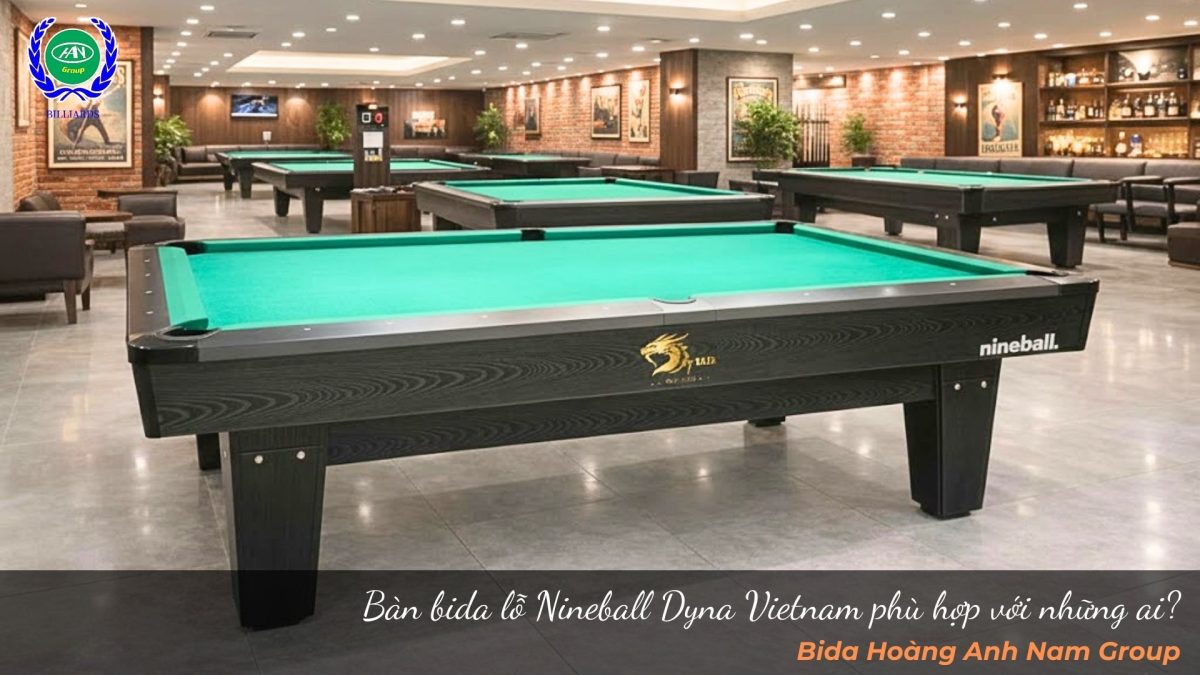 Bàn bida lỗ Nineball Dyna Vietnam phù hợp với những ai?