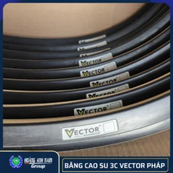 bang-cao-su-3c-vector-phap