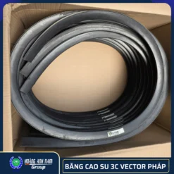 Băng Cao Su 3C Vector Pháp