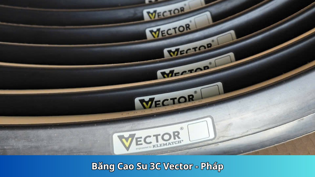 Băng Cao Su 3C Vector Pháp Chính Hãng | Bida Hoàng Anh Nam Group