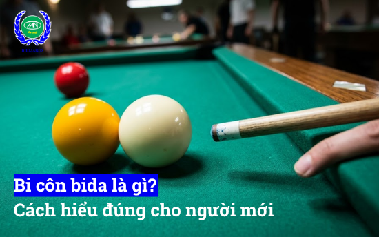 bi côn là gì? cách hiểu đúng cho người mới