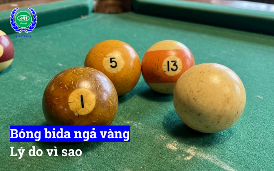 Bóng bida ngả vàng vì sao