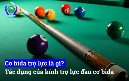 bida trợ lực là gì và vai trò của kính trợ lực đầu cơ bida. Khám phá cách các phụ kiện này giúp tăng độ chính xác, bảo vệ phíp cơ và cải thiện cảm giác bóng cho cơ thủ.