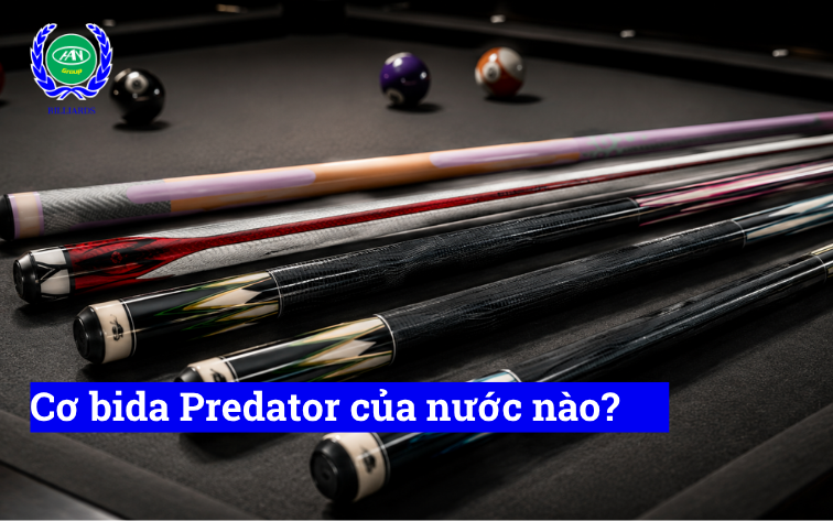Cơ bida Predator của nước nào? Có tốt không, có nên mua không?