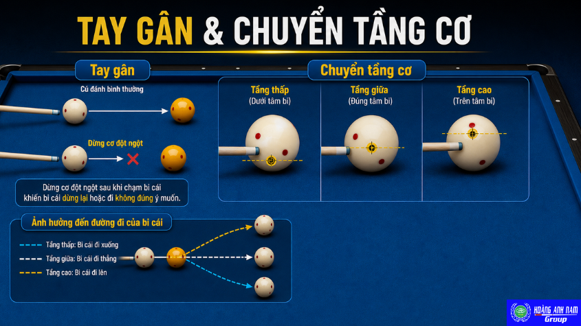 Tay gân và chuyển tầng cơ giúp kiểm soát lực, độ dày chạm bi và hướng gom.