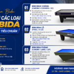 Phân Loại Các Loại Bàn Bida Và Kích Thước Tiêu Chuẩn | Bida Hoàng Anh Nam